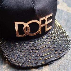 Meet your Posher, Henry t.